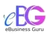 eBusiness Guru